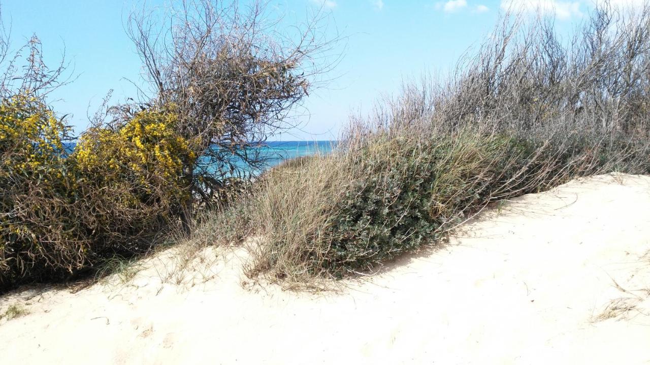 Villa La Casa di Dario Monacizzo Esterno foto